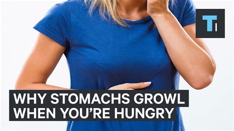 Why An Empty Stomach Is So Noisy Videos