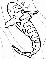 Shark Whale Coloring Pages Nurse Color Printable Blue Getcolorings Unique Getdrawings Colorings Revolutionary sketch template