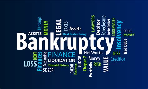 declare bankruptcy dsa law