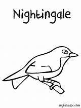 Nightingale Coloring Designlooter 60kb Getdrawings Drawing sketch template