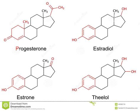 structural formulas of female sex hormones with marked variable