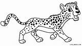 Cheetah Coloring Pages Running Getdrawings sketch template