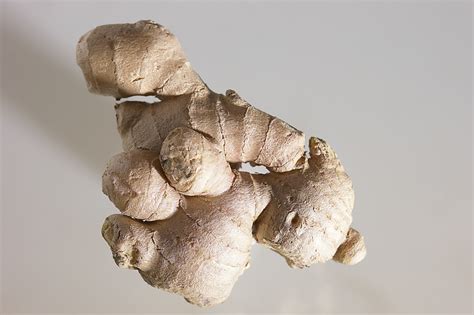 ageesteem ginger  healthy aging