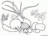 Coloring Pages Vegetables Garden Printable Veggies Colorkid Kids Print sketch template