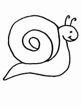 Coloring Snail Pages sketch template