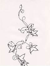 Ivy Tattoo Vine Drawing Designs Poison Tattoos Plant Drawings Line Flower Deviantart Stencil Hiedra Vines Draw Getdrawings Tatoos Leaf Body sketch template