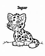 Coloring Jaguar Pages Animal Getcolorings Color sketch template