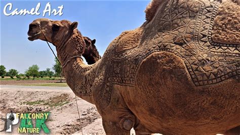 camel art youtube
