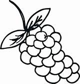 Grapes Anggur Mewarnai Buah Uva Grape Colorir Kolase Marimewarnai Kartun Buahan Fruit Paud Koleksi Bestcoloringpagesforkids Participar Costura Recomendamos Quer Pineapple sketch template