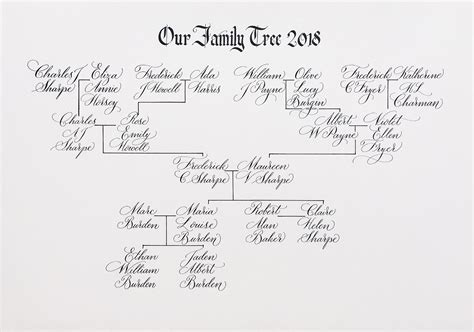 calligraphy family tree lettering leticia camargo