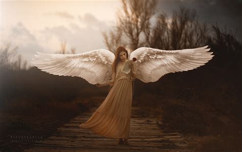 girl with wings angel wallpaper hd girls wallpapers 4k wallpapers