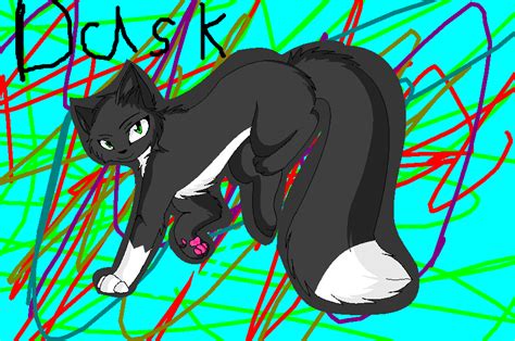 Dusk My Warrior Cat Oc By Ducky The Wolf On Deviantart