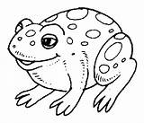 Toad Coloring Pages Printable Color Fire Belly Animals Frog Sheet Animal Animalstown Search Kids Google Colorear Para Colorir Sheets Animales sketch template