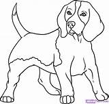 Beagle Dog Drawing Cute Coloring Easy Drawings Dogs Pages Puppy Beagles Animals Hawaiidermatology Pet sketch template