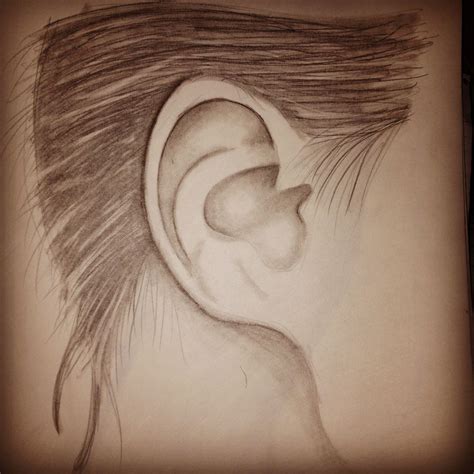 ear sketch ear drawings draw