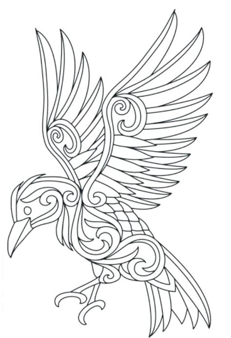 raven coloring pages  getcoloringscom  printable colorings