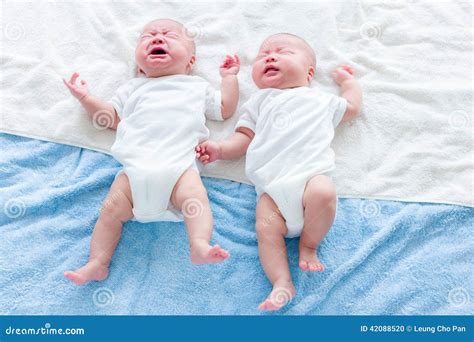baby twins cry stock photo image