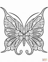 Coloring Butterfly Pages Zentangle Printable sketch template