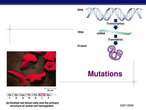ppt mutations powerpoint presentation free download
