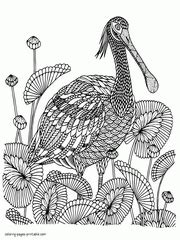 bird coloring pages  adults coloring pages