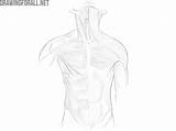Torso Anatomy Stepan sketch template