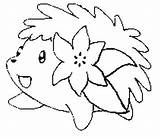 Pokemon Shaymin Coloring Pages Star Trek Pokémon Drawings Colouring Drawing Pikachu sketch template