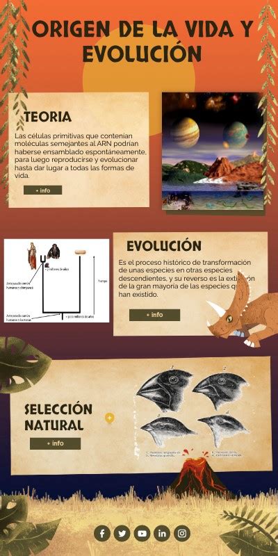 Infografía Origen De La Vida Y Evolución Biologica