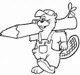 Beaver Coloring Pages Worker Kids sketch template