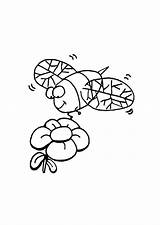 Biene Blume Malvorlage Abbildung Herunterladen Große Ausdrucken sketch template