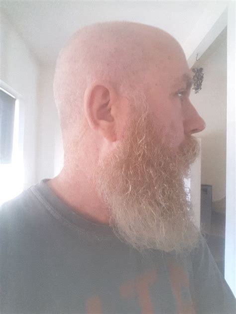 pin on bald n beard