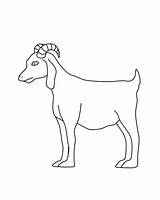 Goat Coloring Printable Pages Kids Bestcoloringpagesforkids Goats Template Animal Sheets sketch template