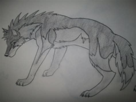 My Drawing Anime Wolves Fan Art 13404325 Fanpop