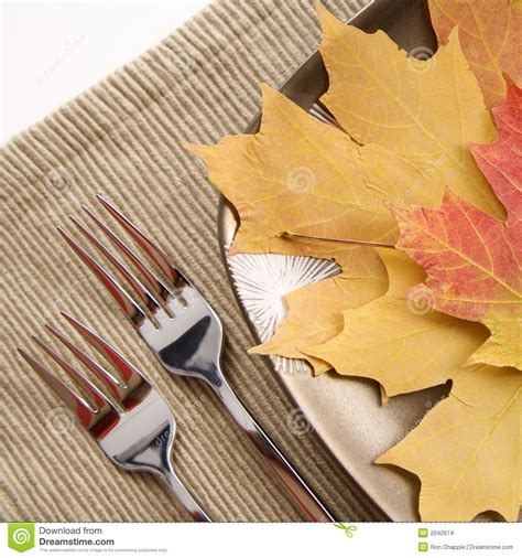 lijst die met veelkleurige bladeren als hoofdmaaltijd plaatst stock foto image  daling