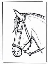 Paard Paardenhoofd Caballo Pferdekopf Sinterklaas Cabeza Cheval Paarden Caballos Cavalli Pferde Kleurplaten Pferd Cavallo Testa Tete Nikolaus Sankt Nukleuren Facil sketch template