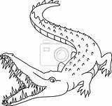 Crocodile Malvorlage Aperta Coccodrillo Bocca Mund Zahn Krokodil Illustrazione Malvorlagan Zunge Coloritura sketch template