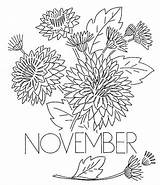 November Coloring Pages Printable Flowers Kids sketch template