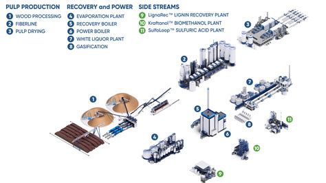 kraft pulp technologies   major pulping recovery  power process