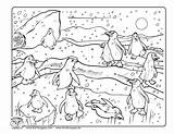 Coloring Pole North Pages Popular Cute Penguin sketch template