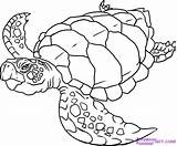Turtle Sea Coloring Pages Printable Turtles Color Sheets Animals Print Animal Ocean Drawings Kids Creatures Drawing Outline Detailed sketch template