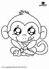 Monkey Cute Easy Coloring Pages Sketch Sock Drawing Getcolorings Paintingvalley Collection sketch template