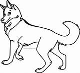 Coloring Husky Wecoloringpage sketch template