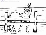 Coloring Horse Printable Coolest Printables Pages sketch template