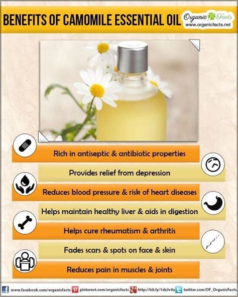 chamomile essential oil keith clark collection facebook
