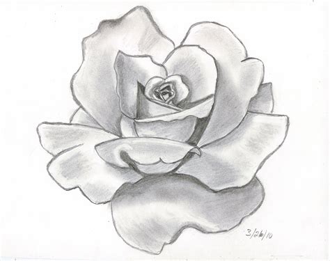 drawing flowers flowers wallpapers