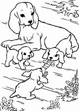 Hunde Malvorlagen Coloring Kostenlos Drucken Hund Ausdrucken Raskraski sketch template
