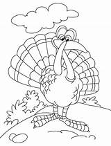 Turkey Coloring Pages Thanksgiving Wild Bird Printable Alabama State Game Animated Print Kids Parentune Preschoolers Bestcoloringpages sketch template