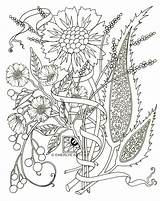 Coloring Adult Pages Adults Flower Flowers Paisley Printable Color Spring Pdf Print Azcoloring Only Kids Easy Books Downloadable Colouring Floral sketch template