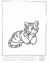 Tiger Coloring Baby Cute Pages Tigers Animals Kids Wonderweirded Color Wildlife Echo Cubs Print Cartoon Mother Sheets Popular Colouring Library sketch template