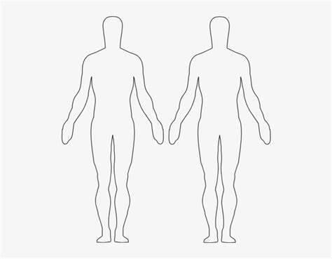 image result  body outline body outline outlines figure drawing