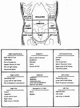  sketch template